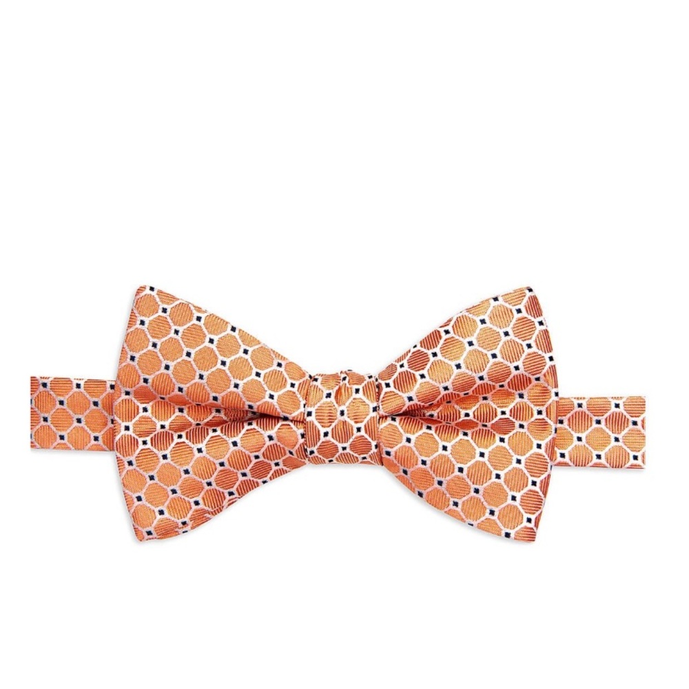 Saddlebred Alwar Bow Tie